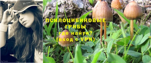 стаф Струнино