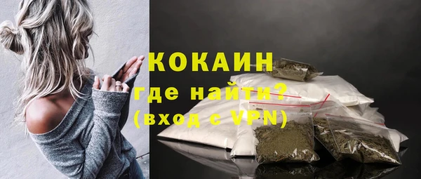 стаф Верея