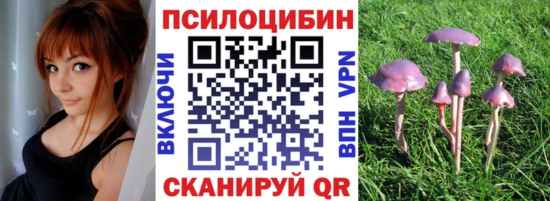 Псилоцибиновые грибы Magic Shrooms  цены наркотик  Онега 